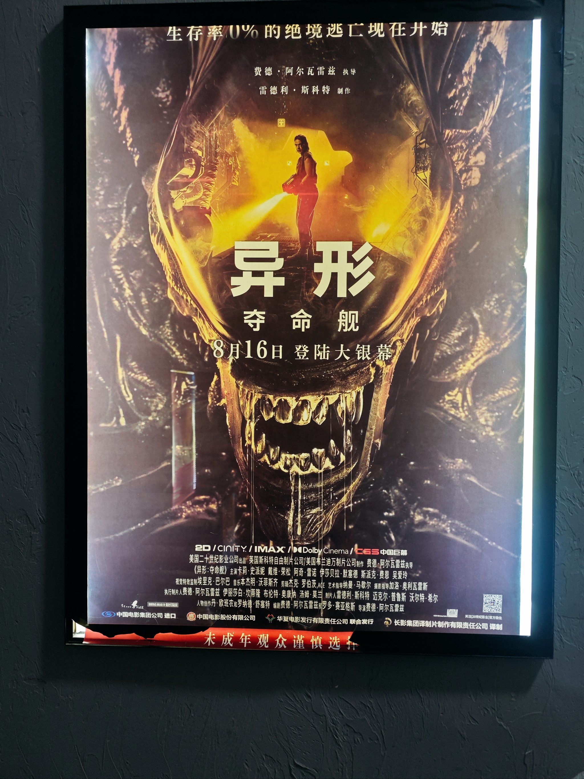 就大型密室逃脱观影复盘:我们何尝不是"异形"