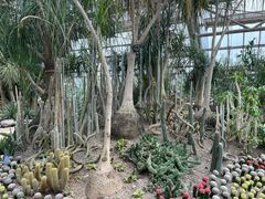 -南山植物园