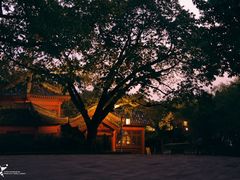 -鹅岭公园瞰胜楼