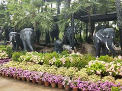 景点-东芭乐园