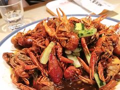 -杨氏青龙虾·羊蝎子(珠江路店)