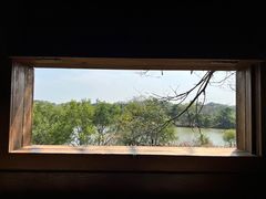 -华侨城湿地公园