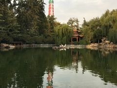 -山东大厦