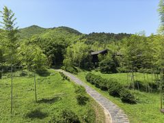 -大唐贡茶院