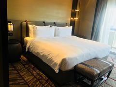 -新加坡瑞士史丹福酒店