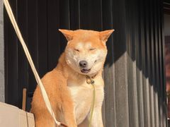 -慈观山房(南郊公园店)