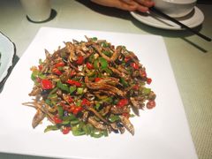 青椒小鱼仔-佬湘楼(越秀城市广场店)