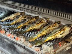 -杨合林啊兰烤鱼