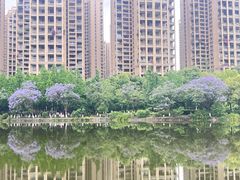 -成都南湖公园