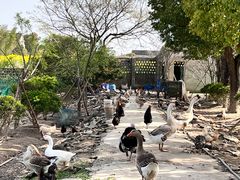 -不觉晓CAMPING(上海迪士尼营地店)