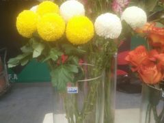 -重庆市江北嘴中央商务区中央公园