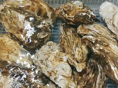 -船歌鱼水饺(高新园区店)