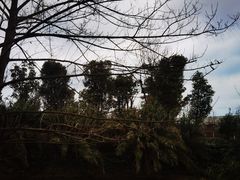 -白鹭湾湿地公园