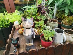 -IFIF 如果花園(宽厚里店)