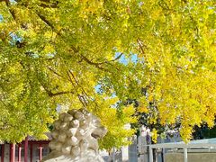 -北京石刻艺术博物馆(五塔寺)