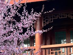 -堤角公园