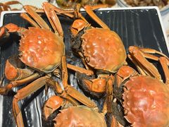 -嗨辣小聚·盘锦河蟹·海鲜烧烤龙虾(盘锦十年好店)