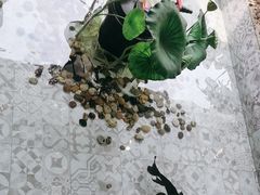 -ins森林童话餐厅coffee&bistro