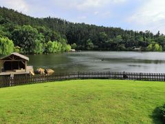 -南京银杏湖乐园