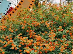 -府河摄影公园