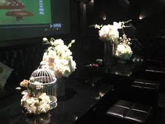 -黑桃K生日订制KTV
