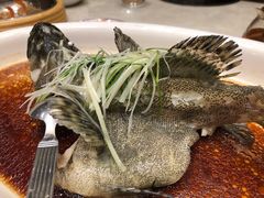 -金米箩大酒店(五角场店)
