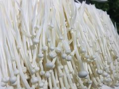 -古乐牛香·鲜牛肉牛杂火锅(新区店)