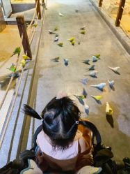 -酷嗒动物文化乐园(cutezoo西溪乐天城店)