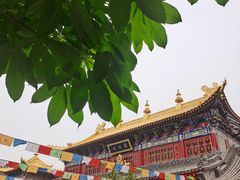 -西安市广仁寺
