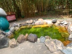 -森波拉火山温泉