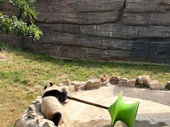 -石家庄市动物园