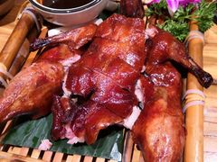 -老滇山寨•云南特色菜•地方菜•民族风情歌舞表演(金碧店)