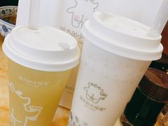 双蛋小皇椰（白屁屁）-茶力的小怪兽(梅林卓悦汇店)