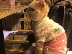 -小时光咖啡馆(开森度假森林店)