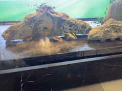 -三谷里·生态水疗空间(五一店)