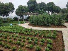 -龙吟九品(青龙山庄店)