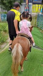 -萌宠亲子动物乐园(槐房万达店)