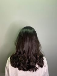-藤野造型