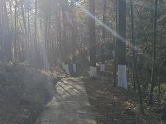 -莫干山风景区