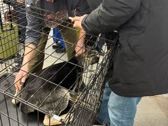 -谢列梅捷沃国际机场