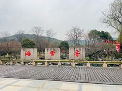 -香雪海