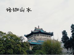 -武汉大学-樱园