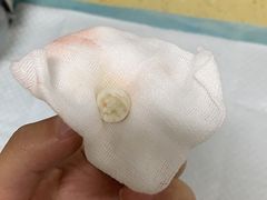 -北京佳信宠物医院