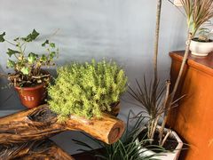 -遇见小院·长思缘农家院(怀柔店)