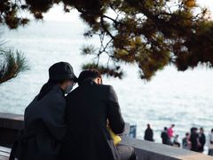 -八大关景区