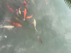 -张家港凤凰山景区恬庄古街