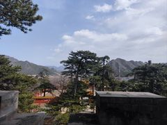 -康陵正德春饼宴26号