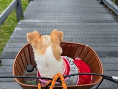 -七星潭蓝天广场