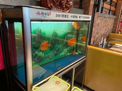 -韩味园果木炭烤鲜肉(陵东街店)