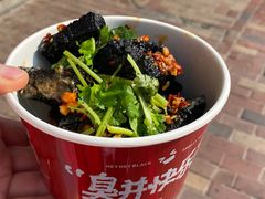 -黑色经典臭豆腐·湖南特产(步行街店)